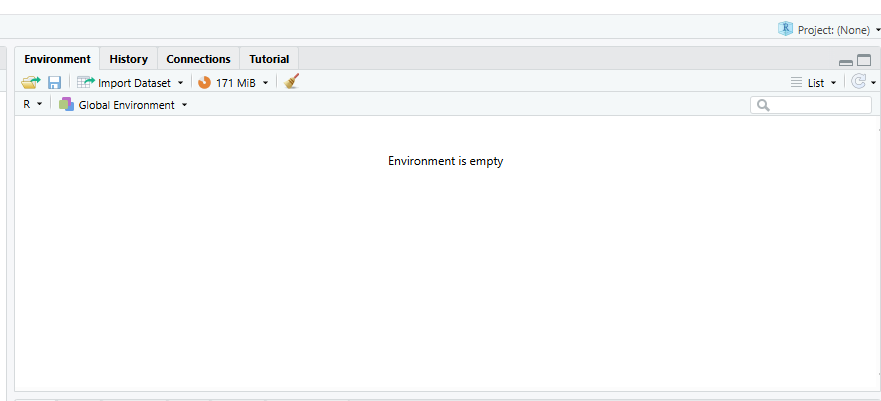 "RStudio Environment"